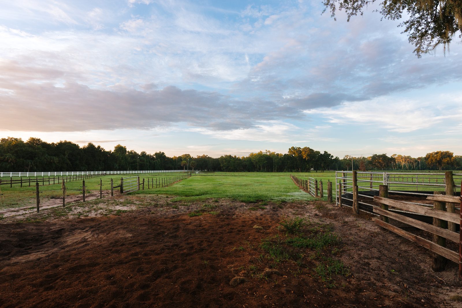 White fence line bordering open green pasture at Timberlane Stables