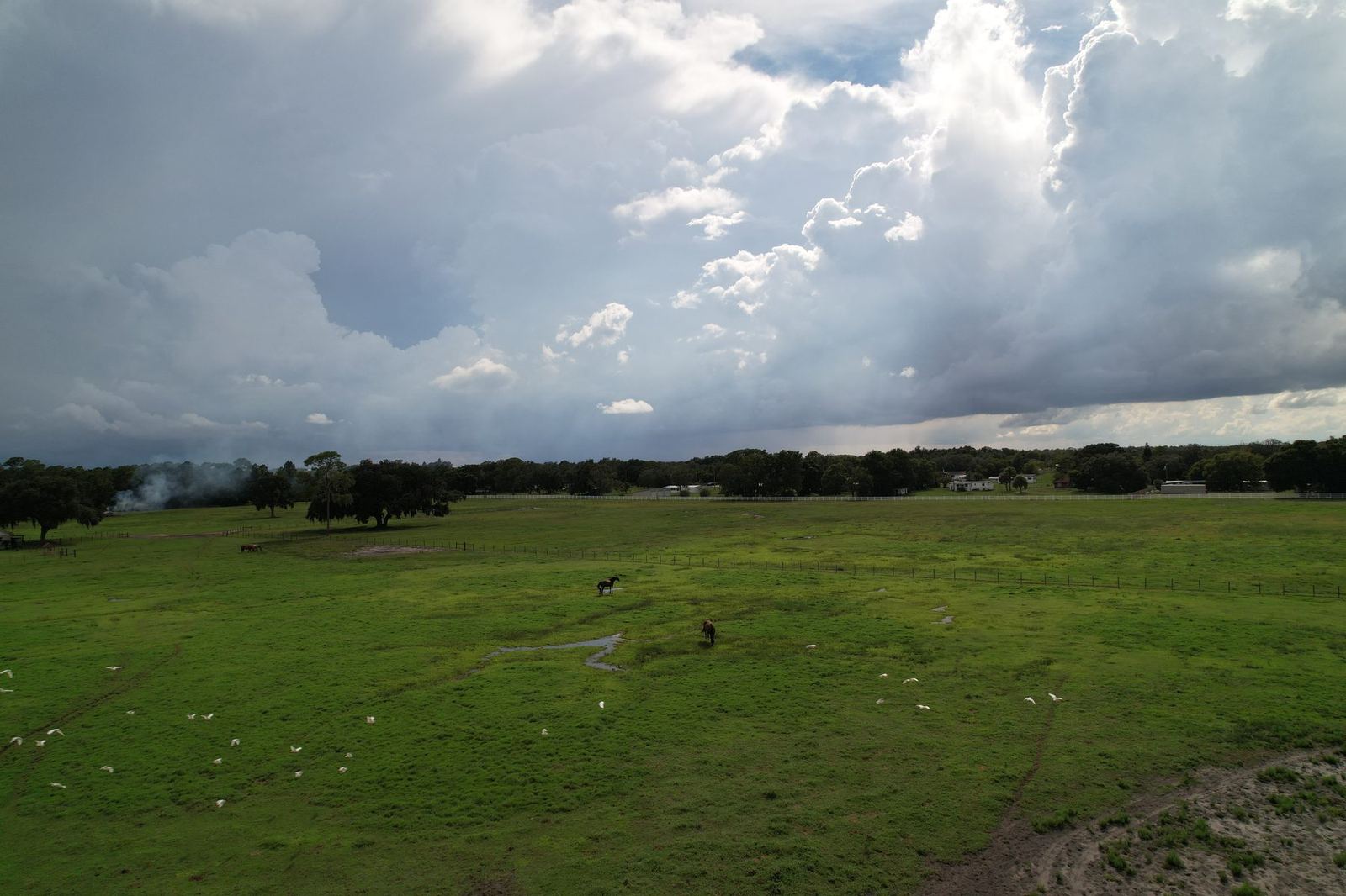 Horses grazing on open pasture at Timberlane Stables, aerial view