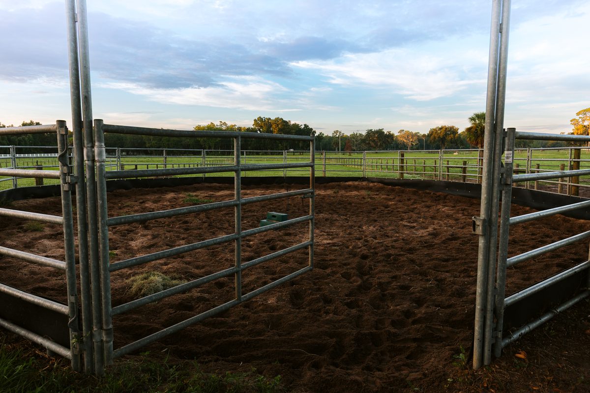 Round pen with metal gate panels and sand footing at Timberlane Stables